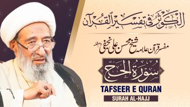 تفسیر سورہ حج | آیت اللہ شیخ محسن علی نجفی قدس سره
