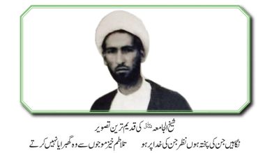 محسن ملت آیت اللہ شیخ محسن علی نجفی قدس سرہ الشریف
